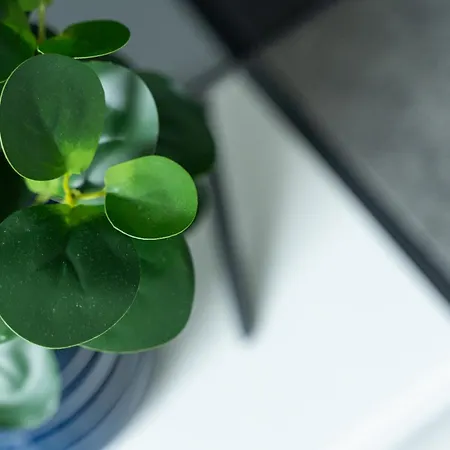 Nadmorski Z Ogródkiem Przy Plaży 114 Apartamento