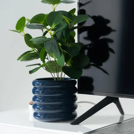 Nadmorski Z Ogródkiem Przy Plaży 114